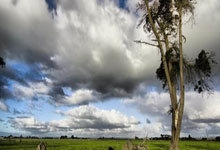 中国足球网比分直播好用吗？怎么看最便捷？